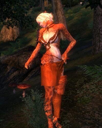 Подробнее о "HGEC Slave Armor"