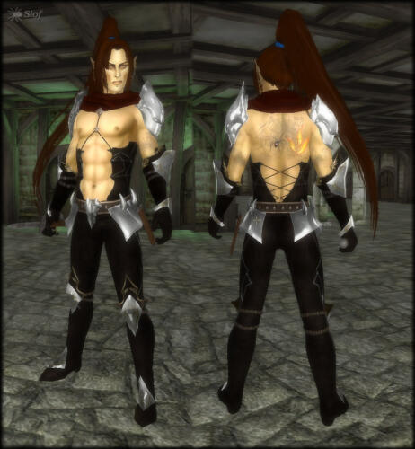 Подробнее о "Slof's Dark Assassin"