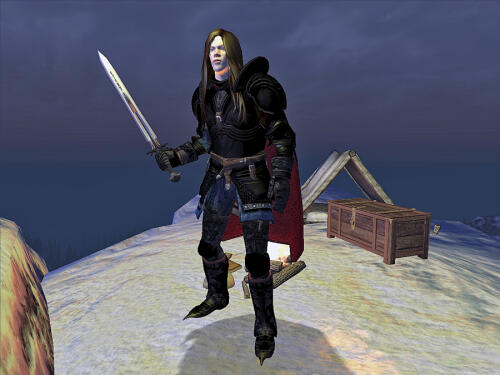 Подробнее о "Dalls Black Knight"