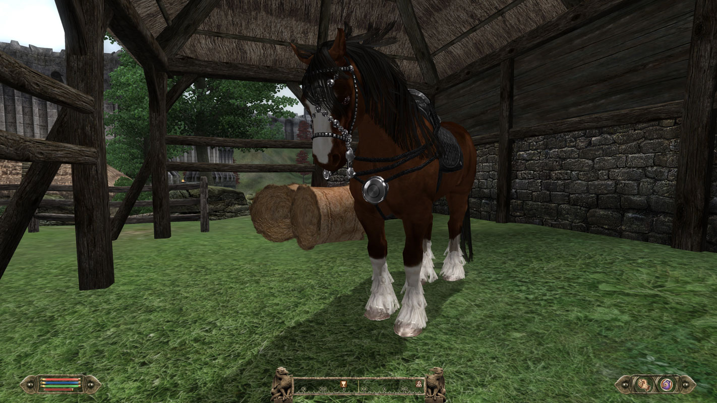 Ziras Clydesdale Horses