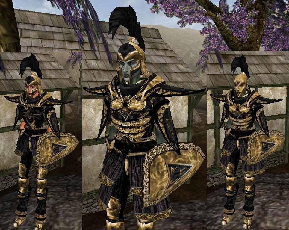 Ordinator Armour Replacer