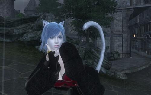 Подробнее о "ANB Lattamer Catgirl"