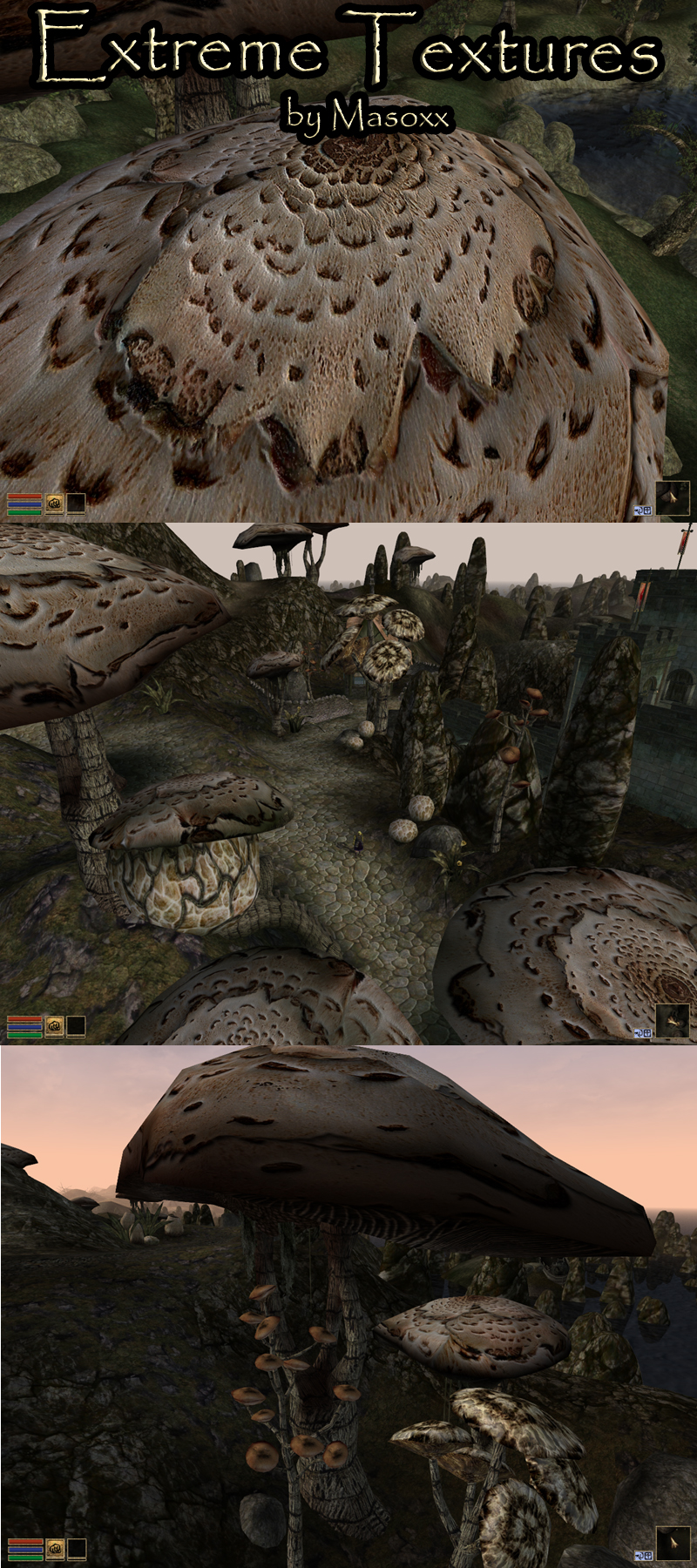 Extreme Textures - Parasols