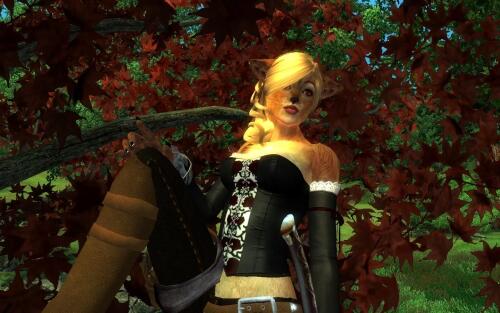 Подробнее о "Rose Corsets for HGEC"