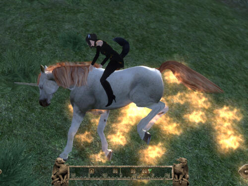 Подробнее о "Rapidash"