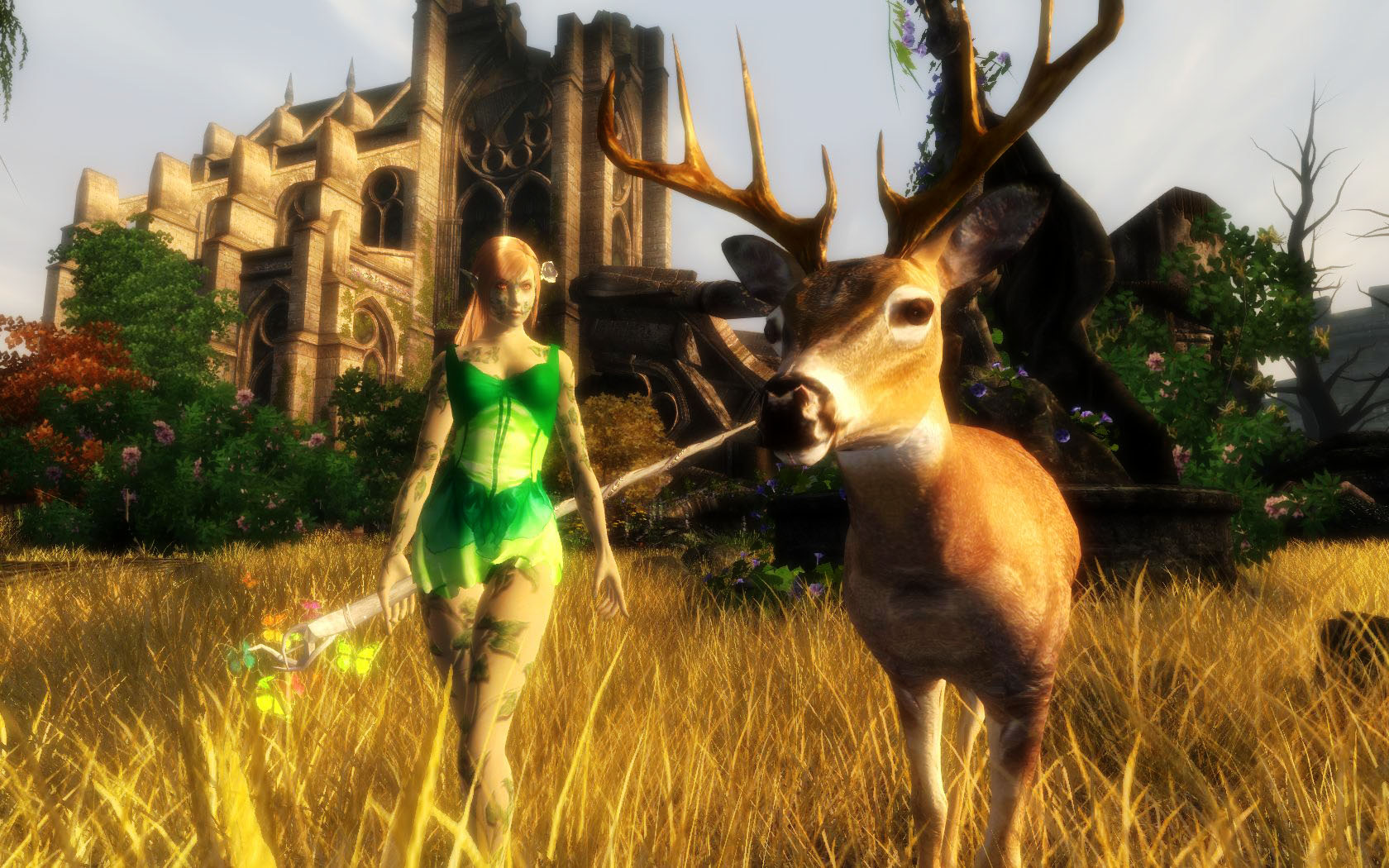 Luchaires Dryad Race