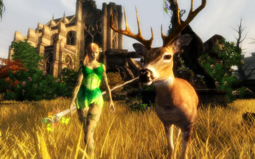 Подробнее о "Luchaires Dryad Race"