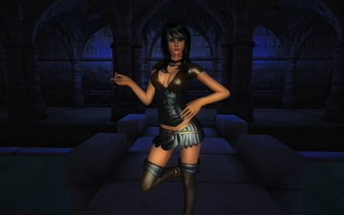 Подробнее о "Leathery Suit 2 for HGEC"