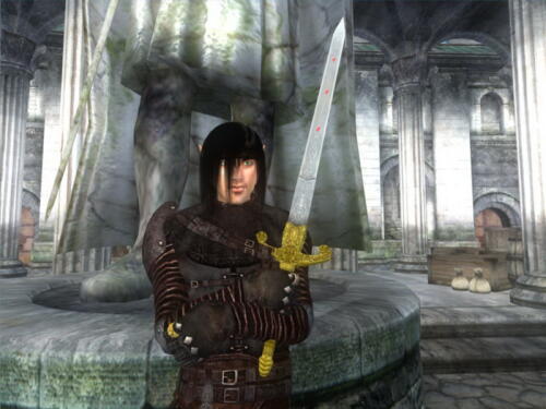 Подробнее о "Golden Longsword"