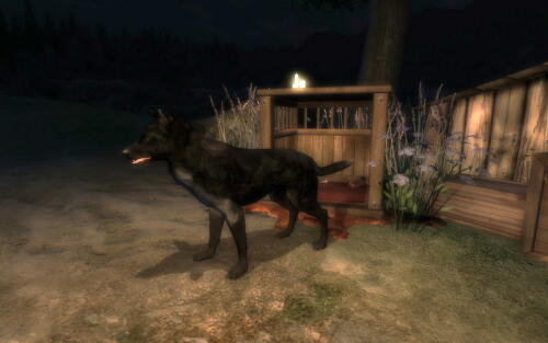 Подробнее о "My Dog Rosie"