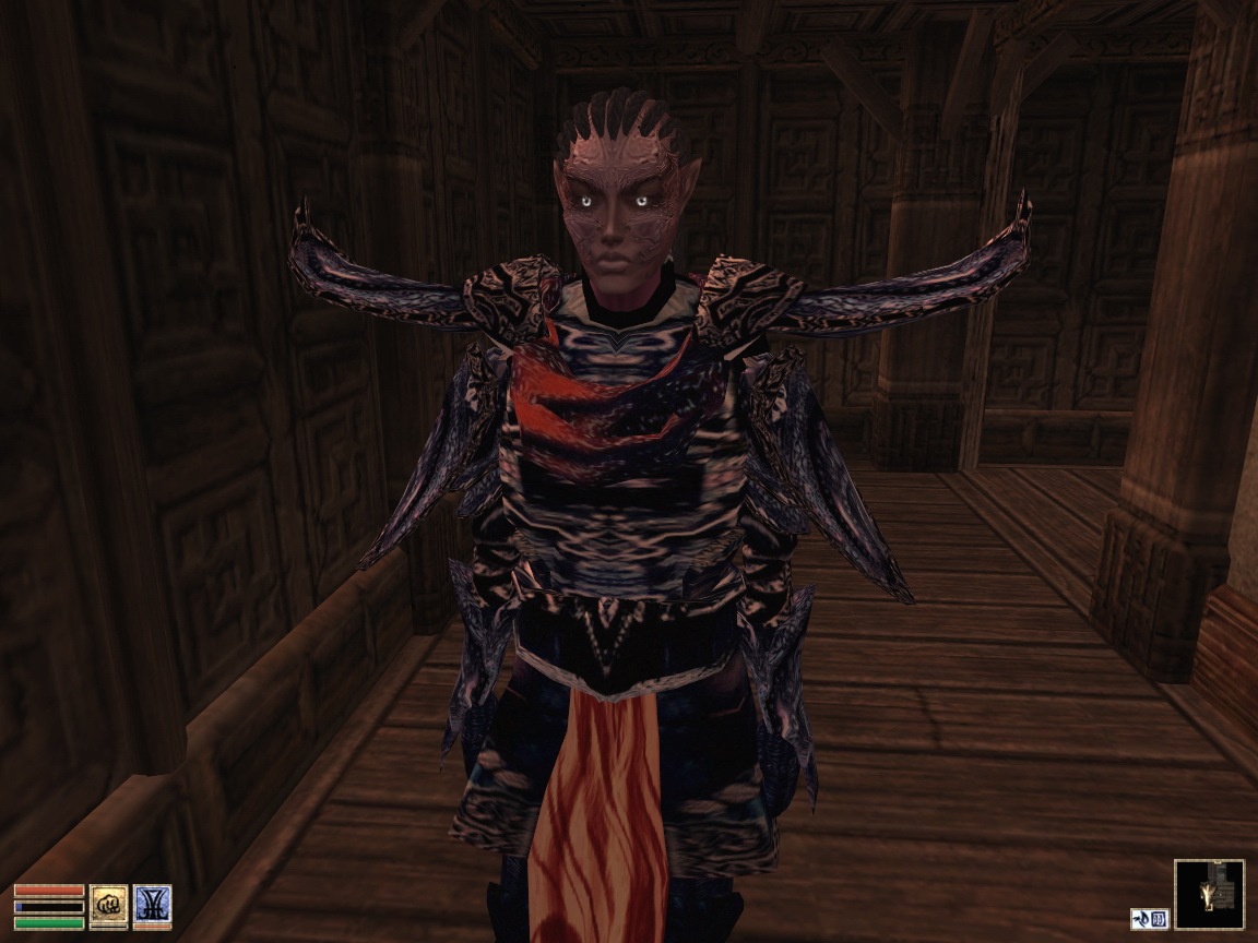 Anen Nirrera Race