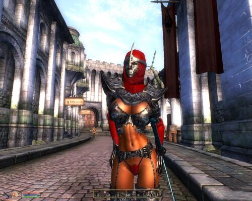 Подробнее о "Skimpy Armor Expanded"