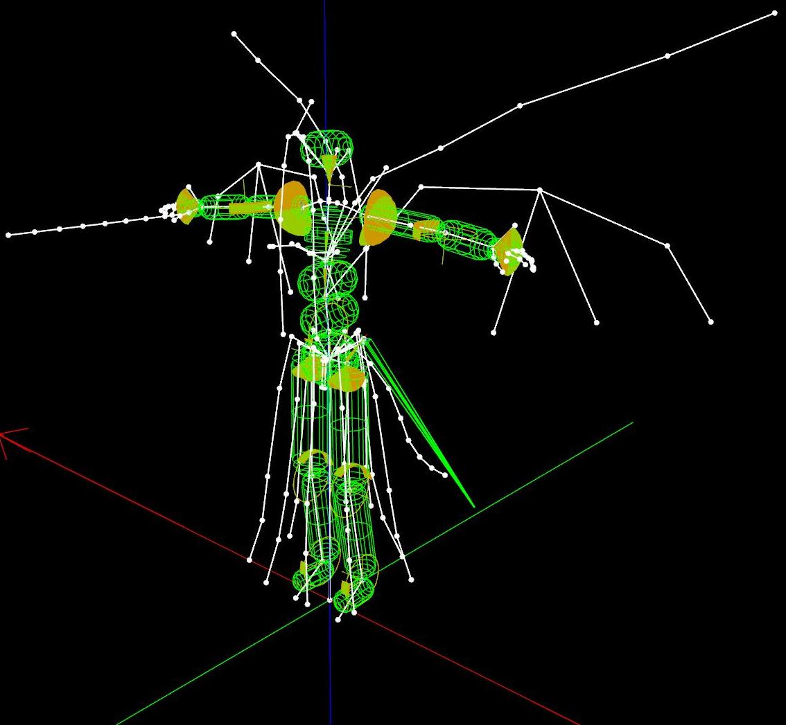 Coronerras Maximum Compatibility Skeletons