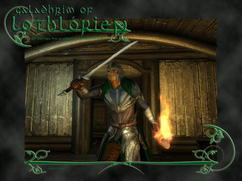 Подробнее о "Armor of the Galadhrim"