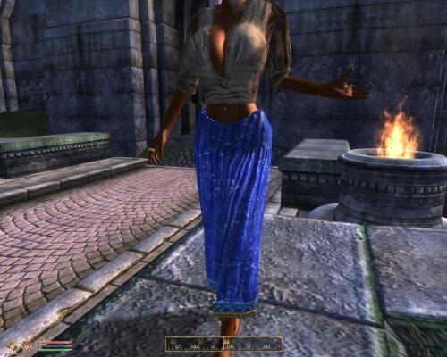 Подробнее о "Stock Clothing Replacer"