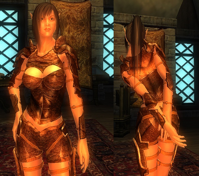 Exnem Leather and Iron Warrior Retextures