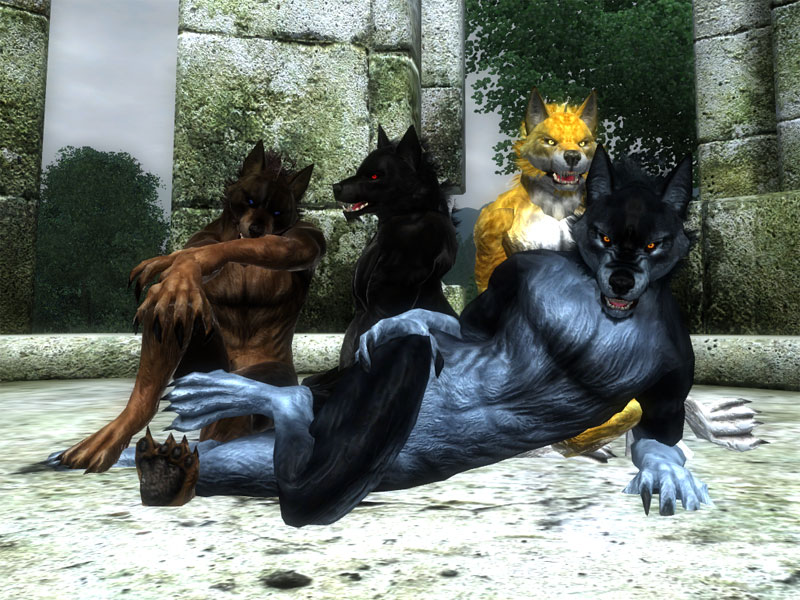CM Partner Werewolves
