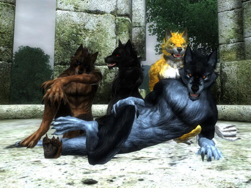 Подробнее о "CM Partner Werewolves"