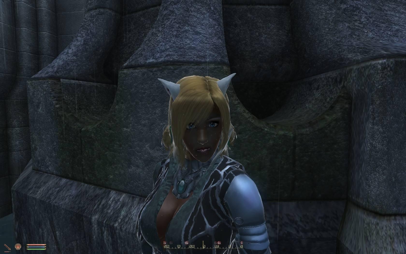 ANB Wearable Ears