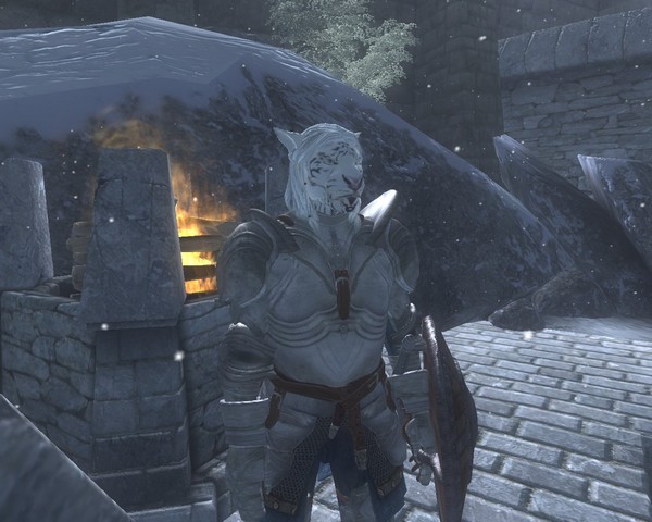 Skyrim Khajiit / Хаджиты Скайрима