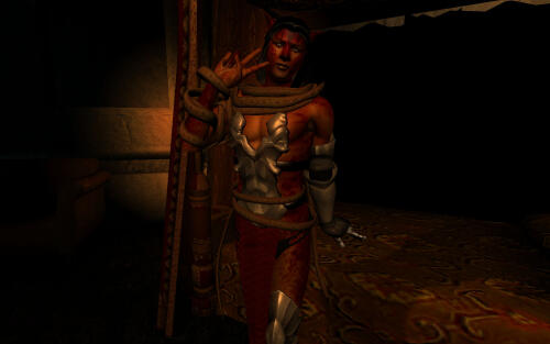 Подробнее о "Slof's Leina Armour for Male"