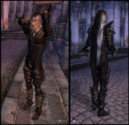 Подробнее о "UFF Slof's Giger Armour"