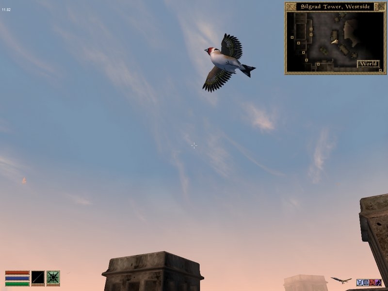 Where Are All Birds Going?