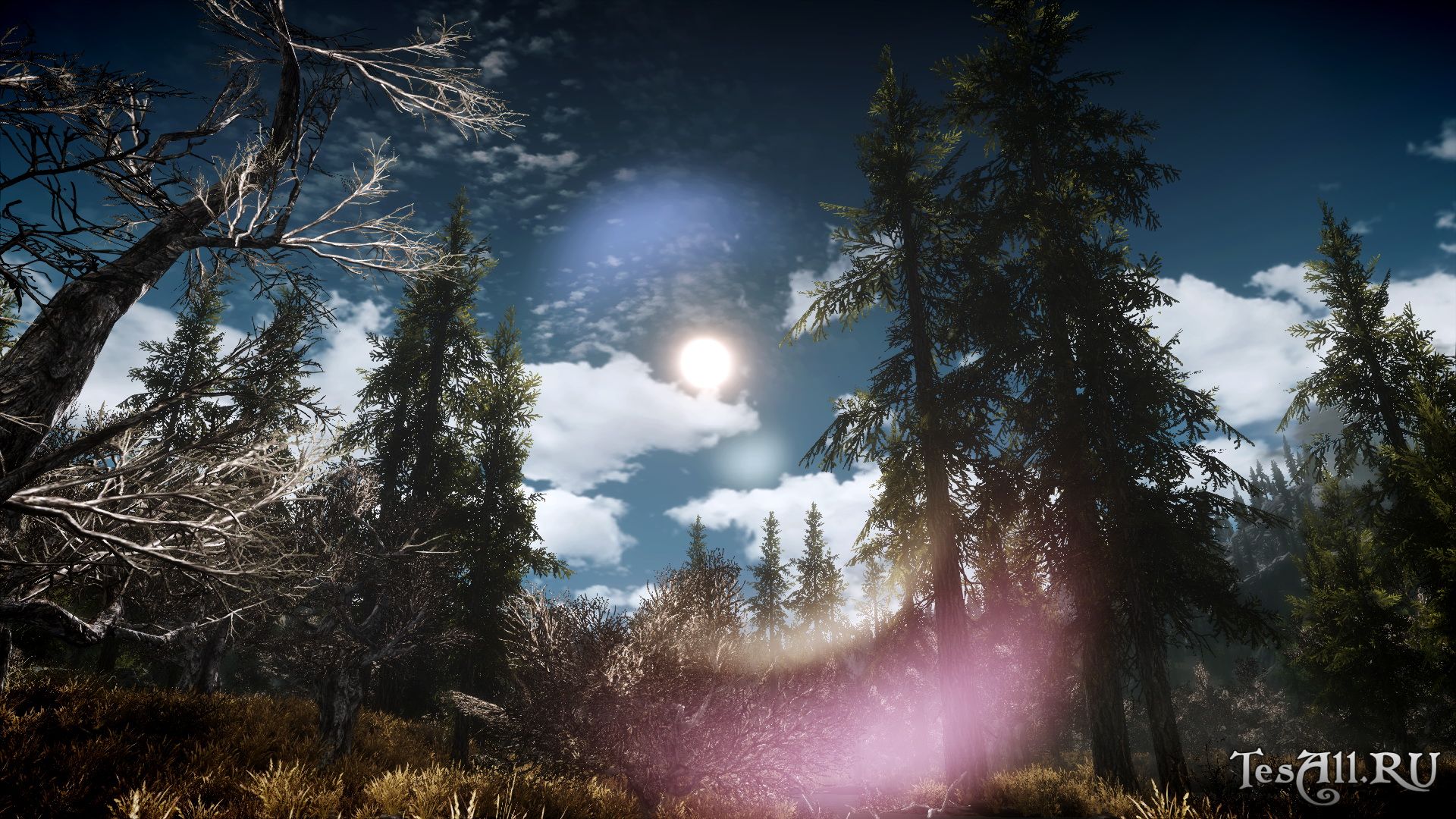 Живописный ENB