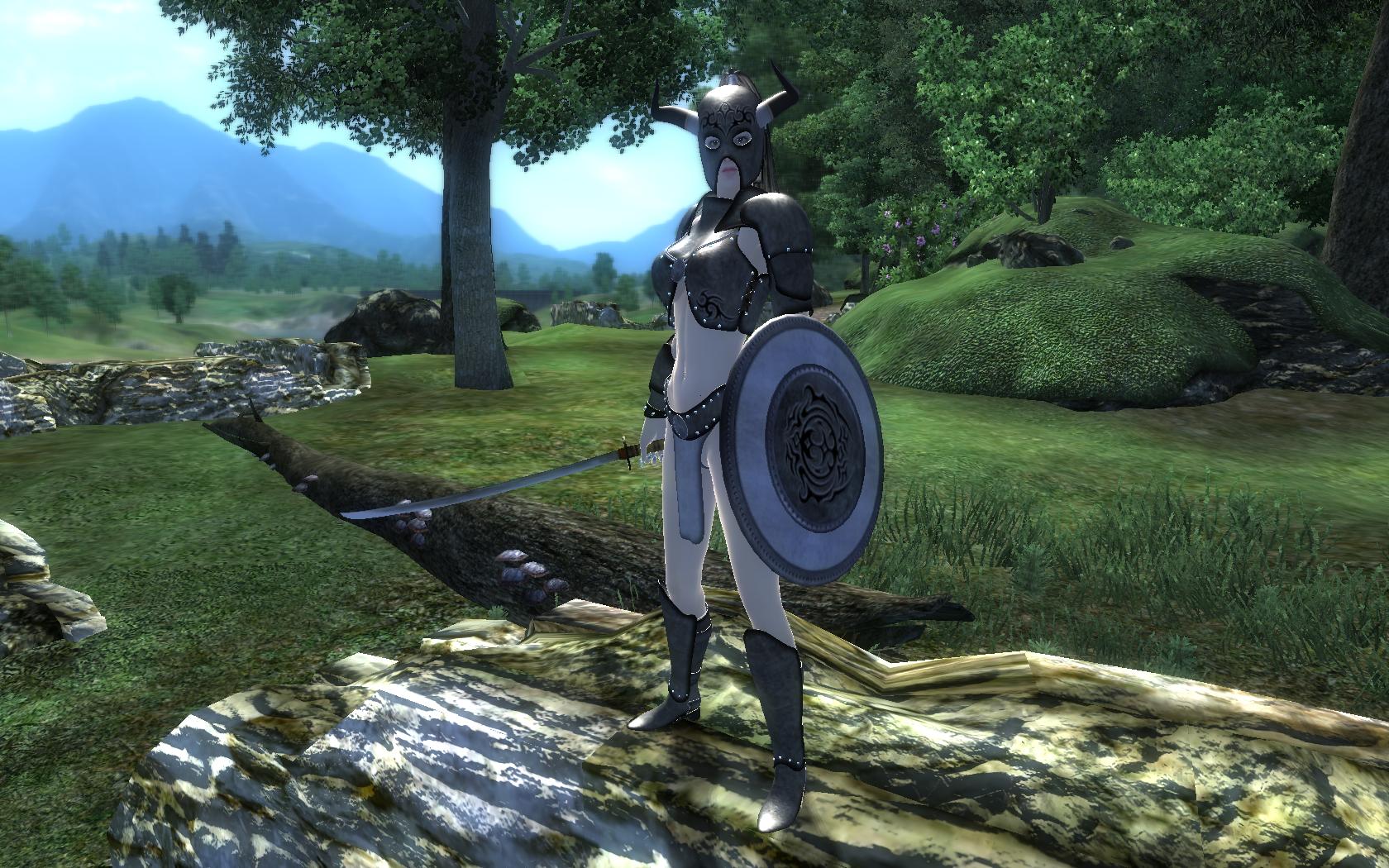 Warrior Skin for HGEC