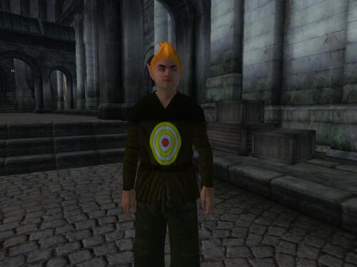 Подробнее о "Adoring Fan Bullseye Shirt"