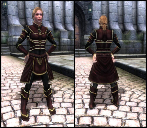 Подробнее о "Rhazed Battlemage Armor"