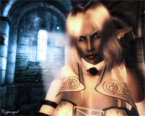 Подробнее о "Ash Elves Race"