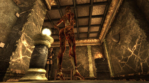 Подробнее о "BEWARE OF GIRL Ghoulishly Gross Skin Replacement TYPE3"