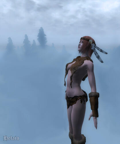 Подробнее о "HGEC UFF RM Shaman Clothing"