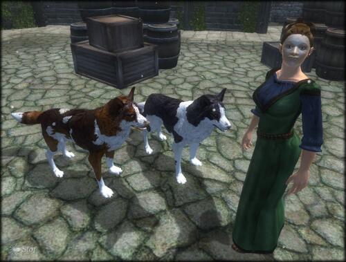 Подробнее о "Slof's Dogs"