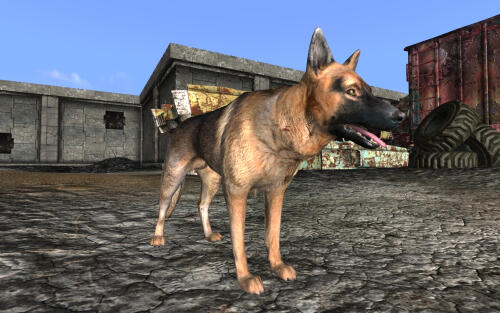 Подробнее о "Unique Dogmeat"