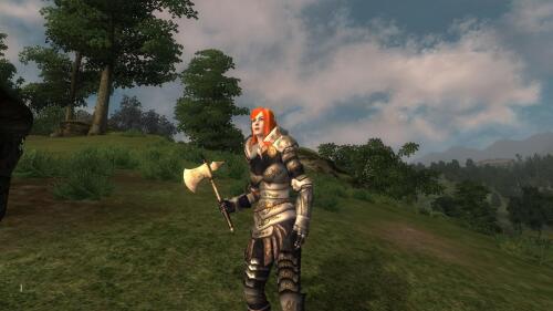 Подробнее о "UFF Noble Armor"