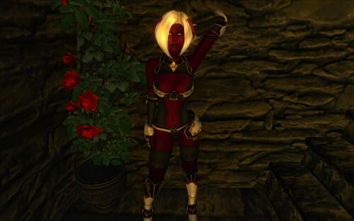 Подробнее о "Доспехи Мифрис для HGEC"