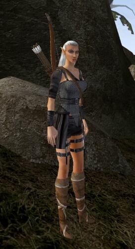 Подробнее о "Female Ranger Armor"