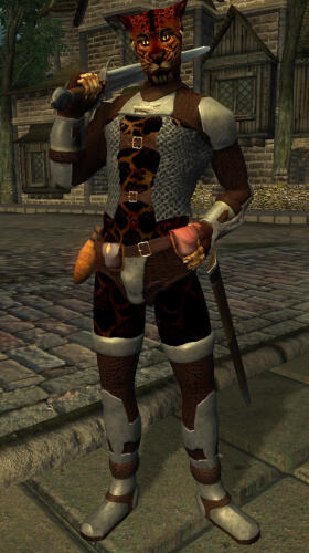 Подробнее о "Robert Male Rogue Outfits"