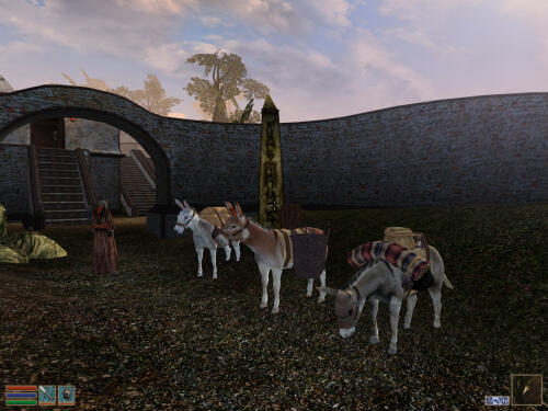 Подробнее о "PACK DONKEYS  featuring Cait's pack donkey models"