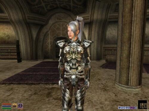 Подробнее о "CanadianIce's Female Steel Cuirass Mod"