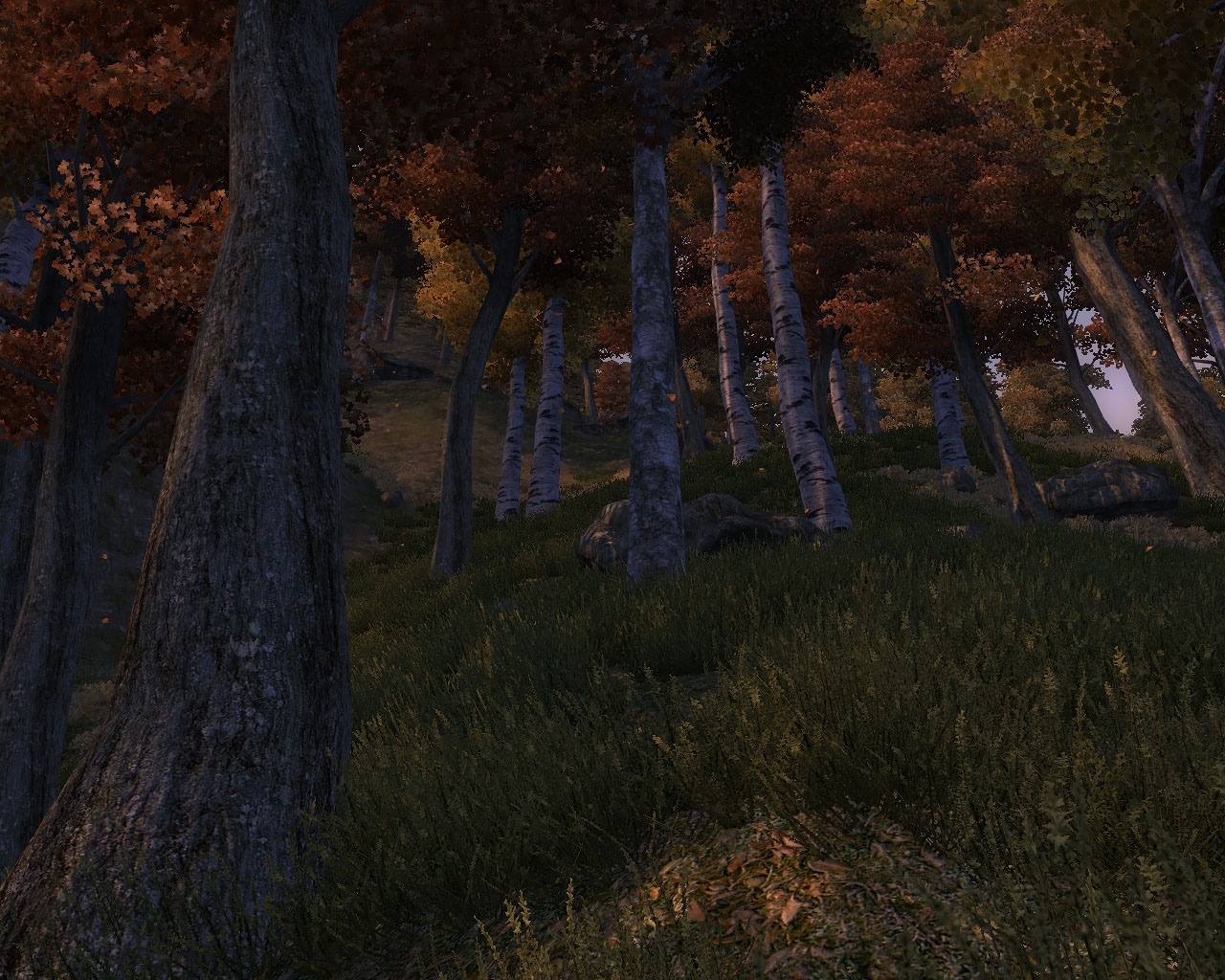 Autumn Trees