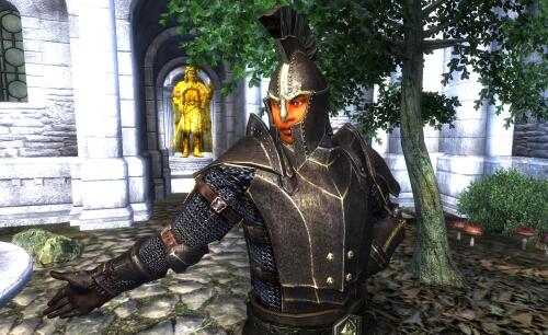 Подробнее о "Oddbasket Imperial Armor Replacement"