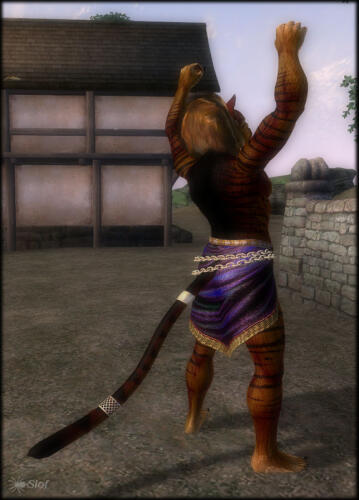 Подробнее о "Slof's Khajiit Retexture"