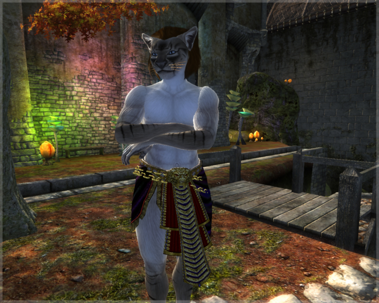 CM Wild Cat