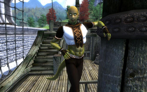 Подробнее о "Ahtata argonian replacer HGEC"