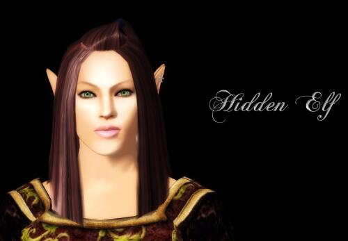 Подробнее о "Hidden Elves"