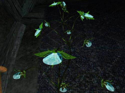 Подробнее о "Elven Lamps"
