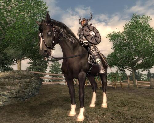 Подробнее о "UFF & RM Dark Rider Armor"